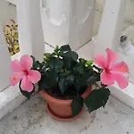Tina *